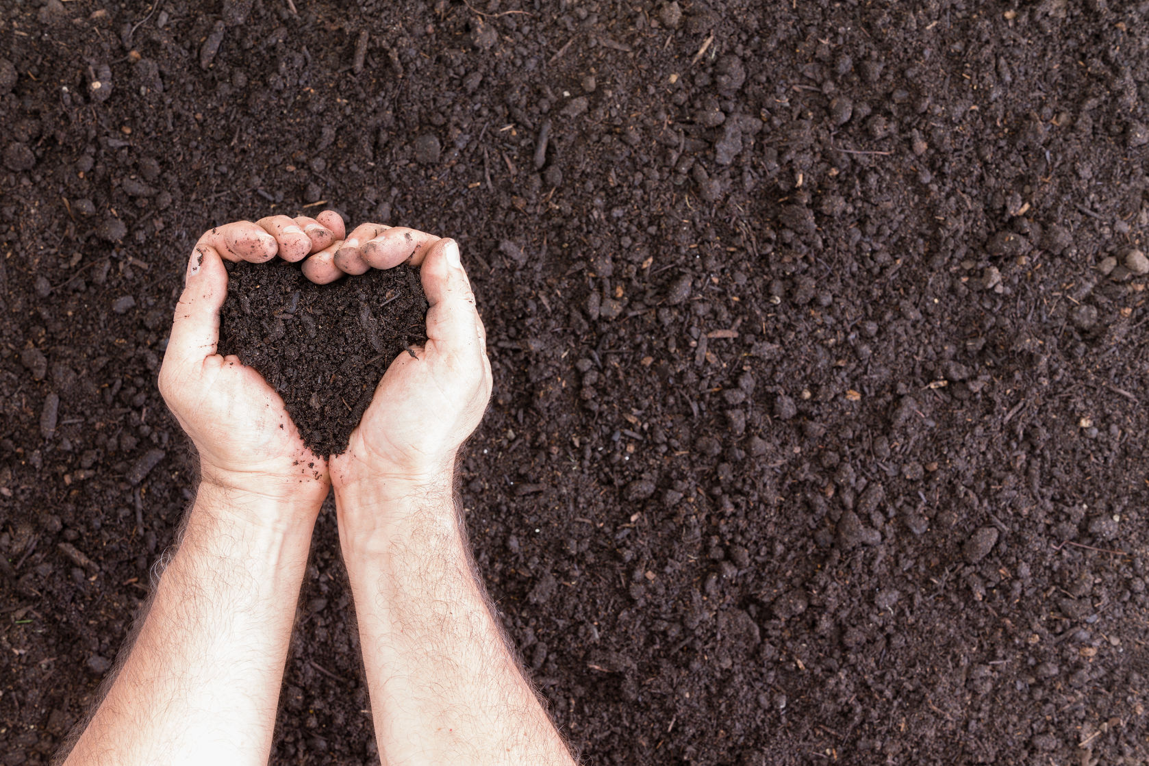 Hands in soil